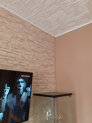 Snen stropu,zateplen a odhlunn orig.technologie